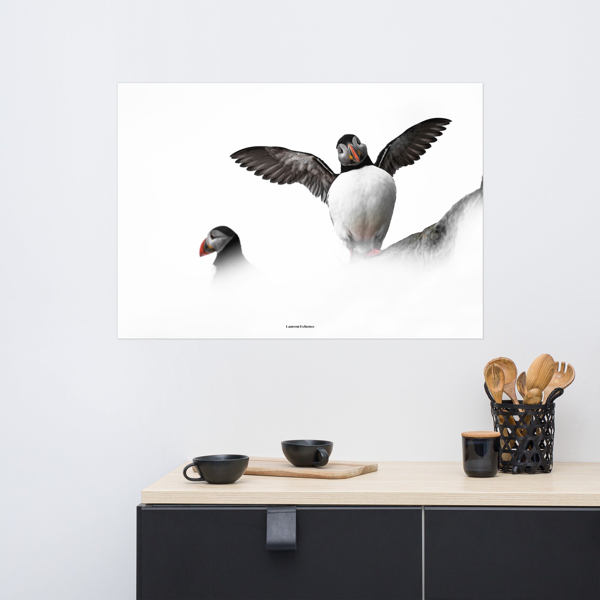 Photographie d'un couple de Macreux moine joyeux sur fond blanc, par Laurent Echenoz.