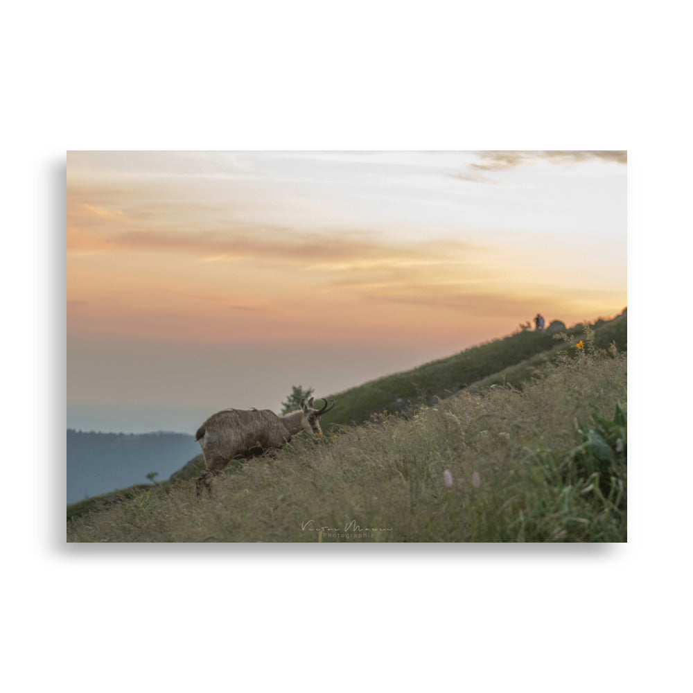 Poster "Crépuscule Montagnard" montrant un chamois dans un paysage montagneux au crépuscule, par Victor Marre.