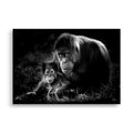 Poster d'animaux sauvage en monochrome deux orangs outans