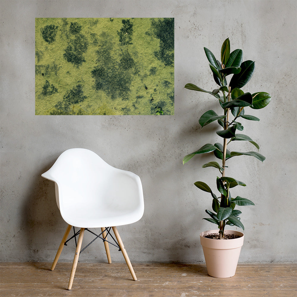 Poster d'une photographie d'un fleuve camouflé par des algues vertes, ressemblant à une peinture