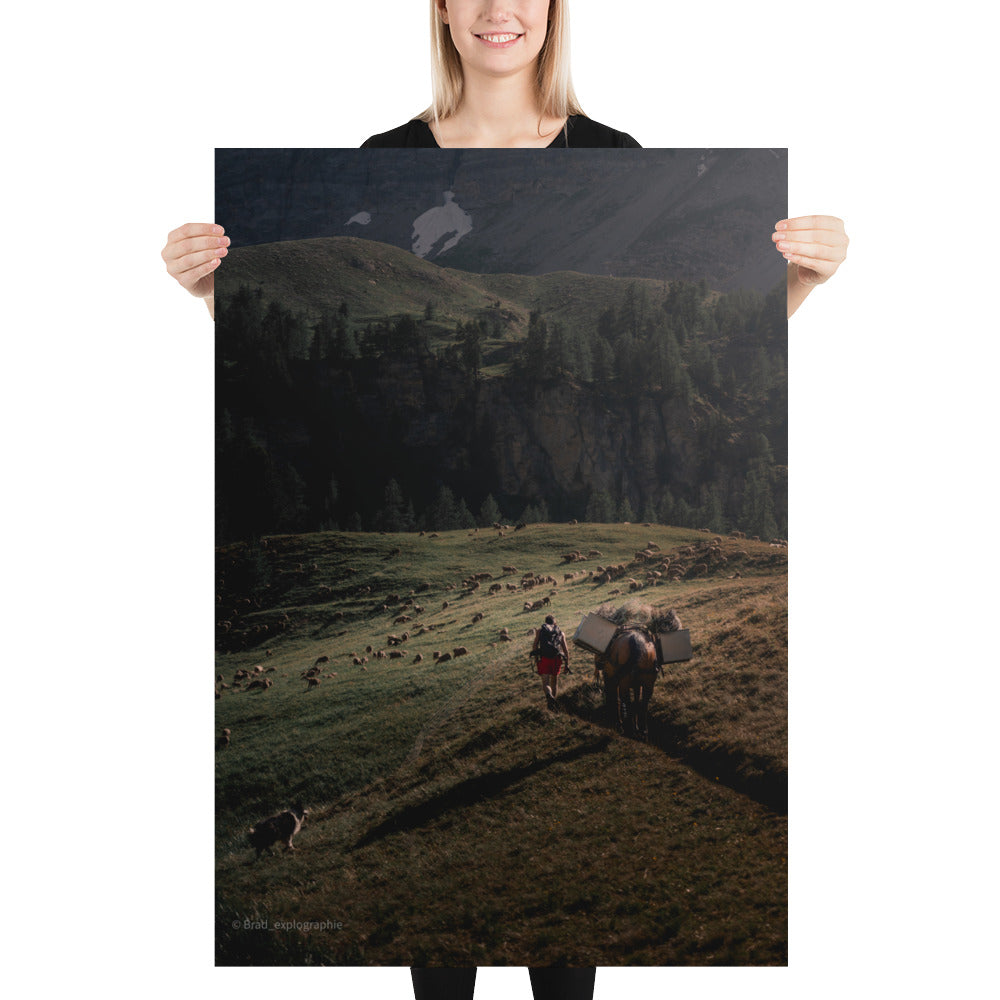 Une scène pittoresque de la nature avec un chien de berger, un cheval, un randonneur et un troupeau de moutons à la lumière du couchant, capturée par Brad_explographie.