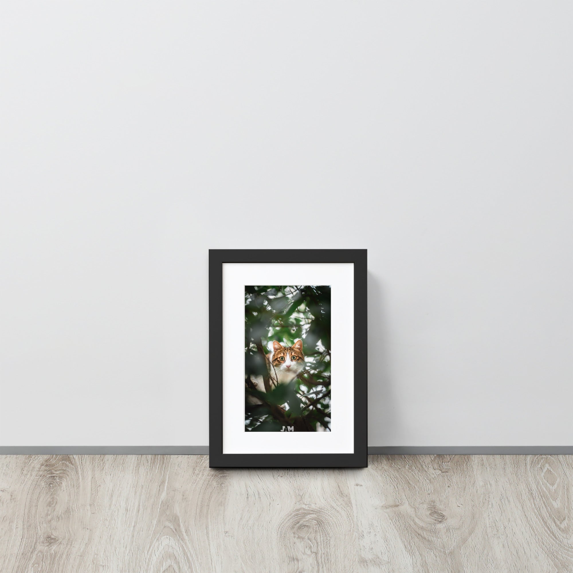 Poster 'Gros yeux', mettant en scène un chat dissimulé derrière des plantes, ses yeux largement ouverts fixant l'objectif avec intense curiosité et malice, capturé magnifiquement par le photographe Julien Arnold.