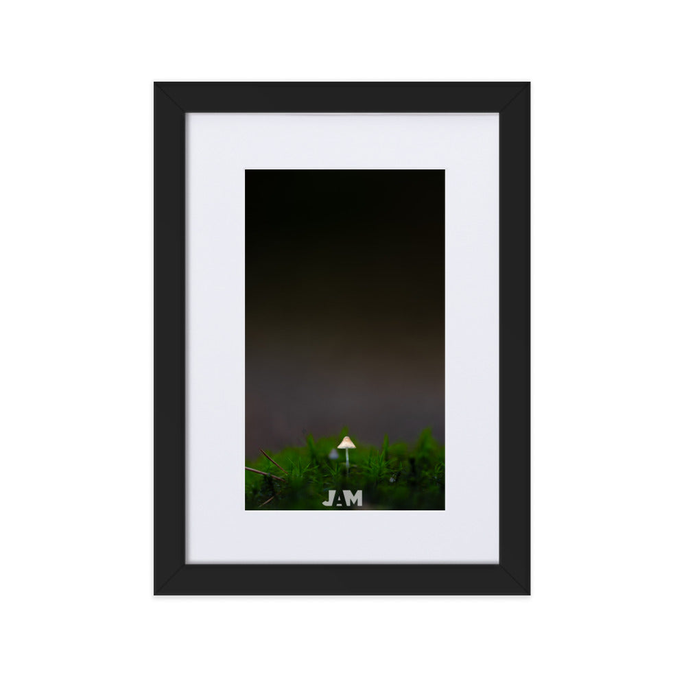 Poster 'Mini Champi', une œuvre délicate de Julien Arnold, capturant un petit champignon à travers l'art de la photographie microscopique, révélant la fragilité et la beauté du monde naturel dans une création artistique subtile et apaisante.
