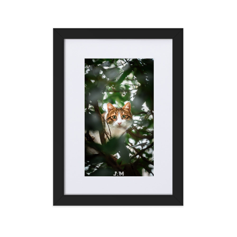 Poster 'Gros yeux', mettant en scène un chat dissimulé derrière des plantes, ses yeux largement ouverts fixant l'objectif avec intense curiosité et malice, capturé magnifiquement par le photographe Julien Arnold.