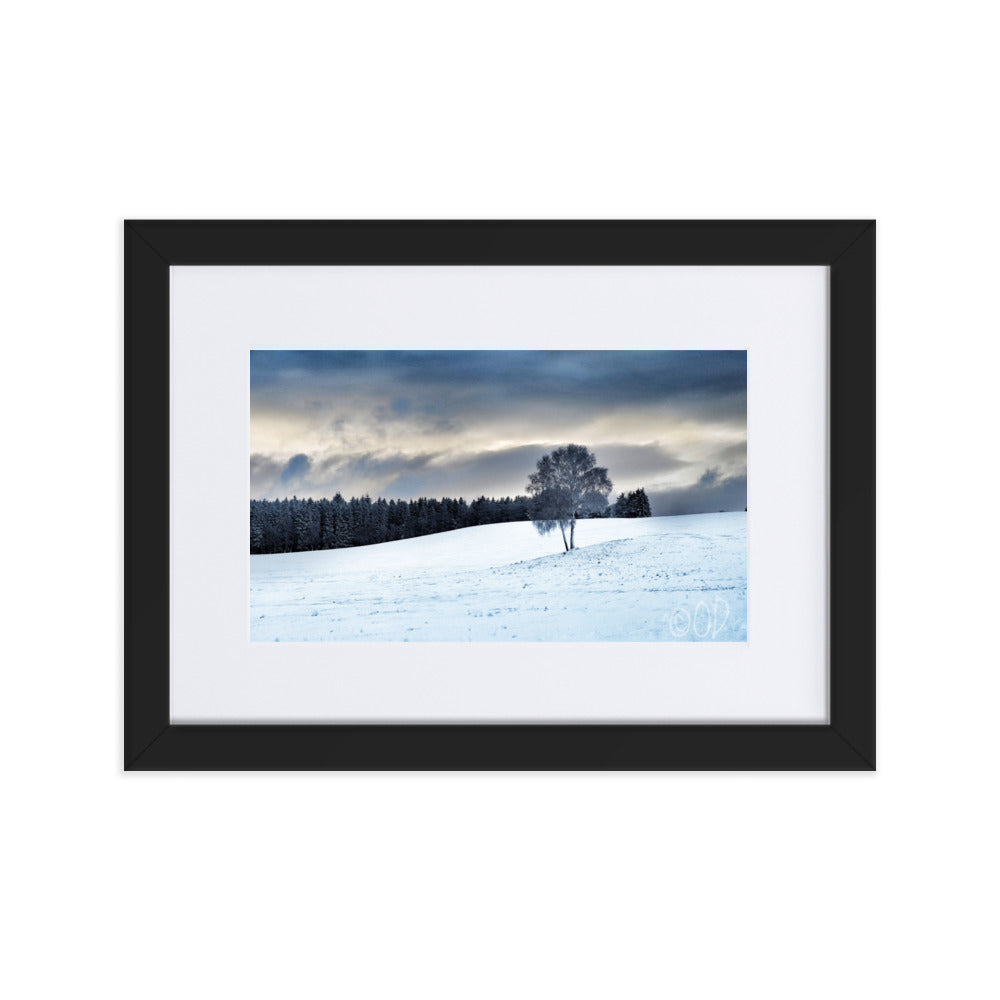 Poster encadré 'Silence Hivernal' illustrant un paysage hivernal serein avec un arbre givré au premier plan et des conifères enneigés en arrière-plan, par La Plantoune ou O.D_Photographie."