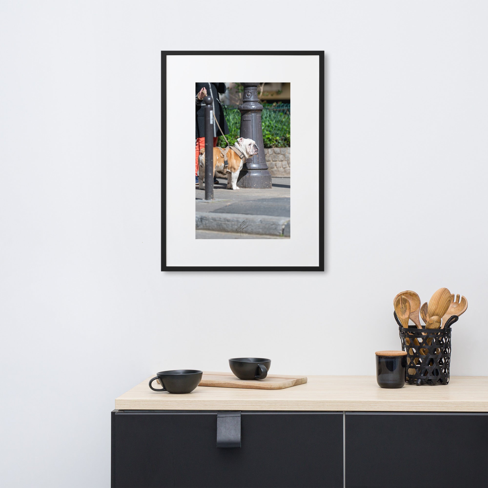 Photographie d'un Bulldog Anglais en promenade avec sa propriétaire, évoquant une scène chaleureuse et un lien profond entre l'homme et le chien.