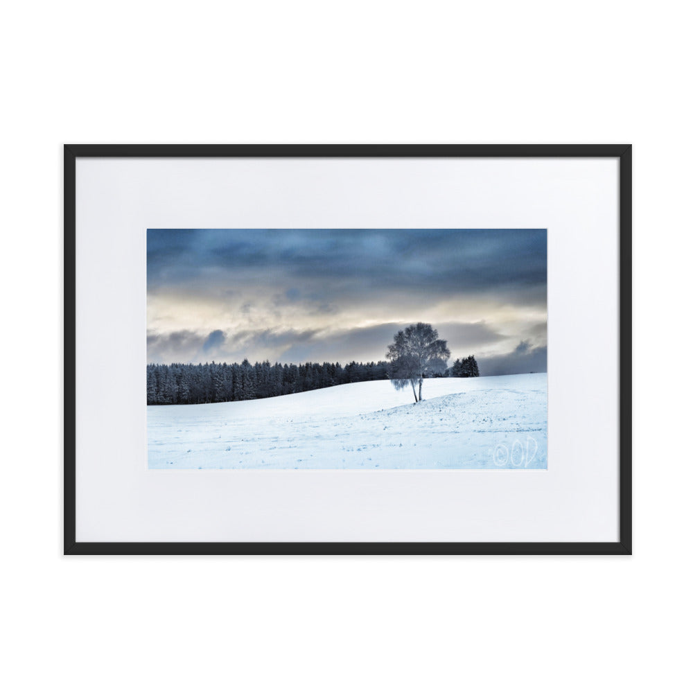 Poster encadré 'Silence Hivernal' illustrant un paysage hivernal serein avec un arbre givré au premier plan et des conifères enneigés en arrière-plan, par La Plantoune ou O.D_Photographie."