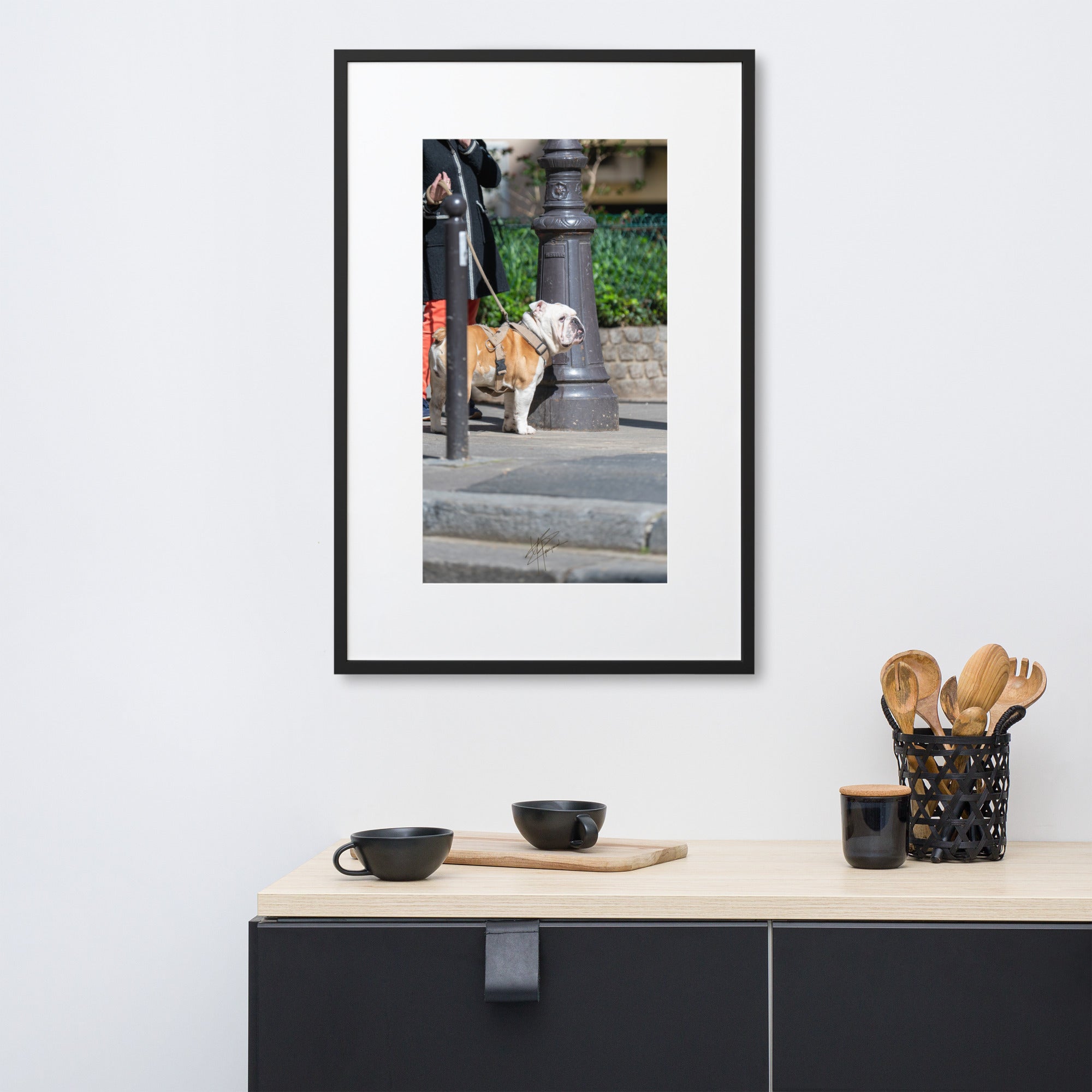 Photographie d'un Bulldog Anglais en promenade avec sa propriétaire, évoquant une scène chaleureuse et un lien profond entre l'homme et le chien.