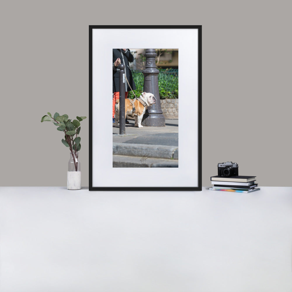 Photographie d'un Bulldog Anglais en promenade avec sa propriétaire, évoquant une scène chaleureuse et un lien profond entre l'homme et le chien.
