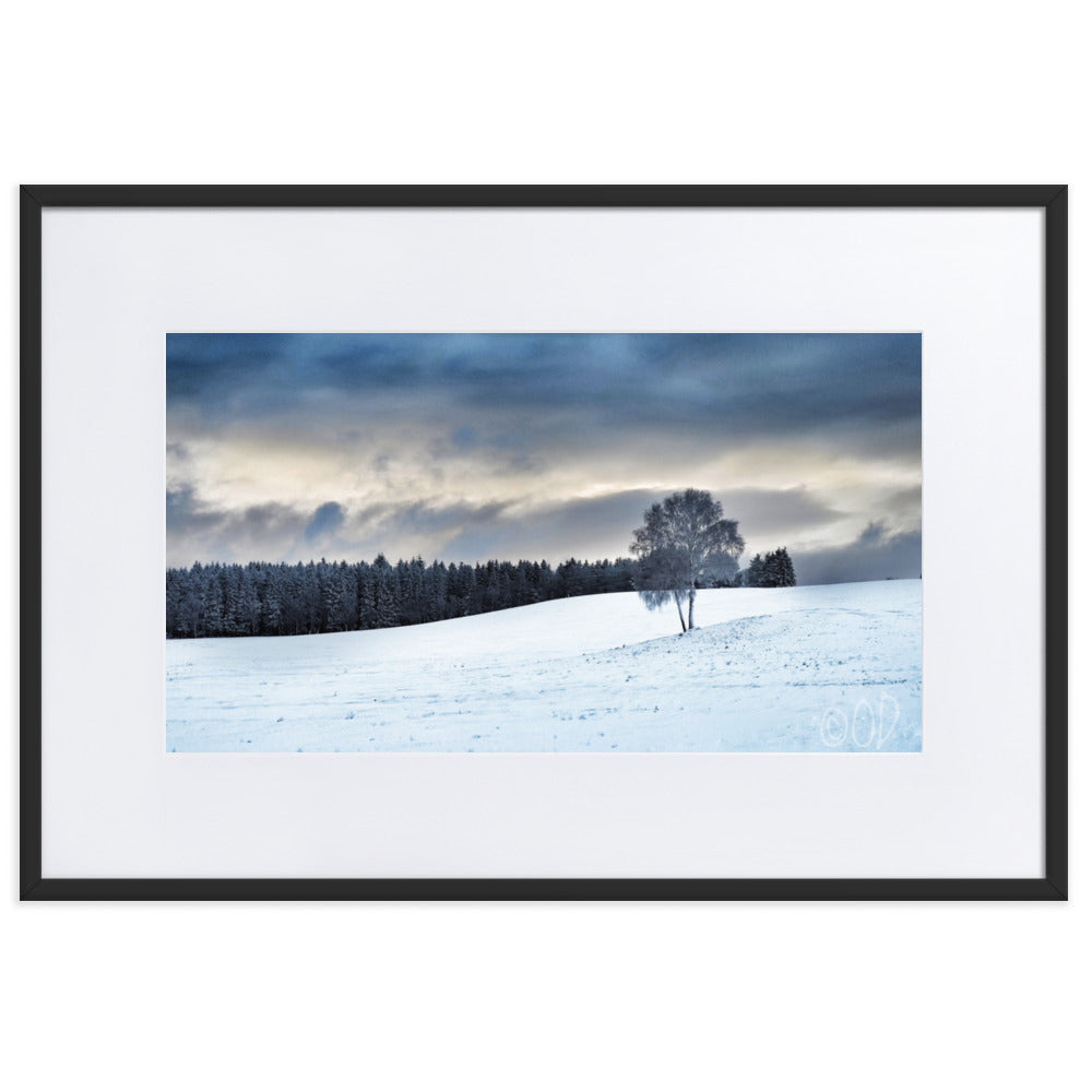 Poster encadré 'Silence Hivernal' illustrant un paysage hivernal serein avec un arbre givré au premier plan et des conifères enneigés en arrière-plan, par La Plantoune ou O.D_Photographie.