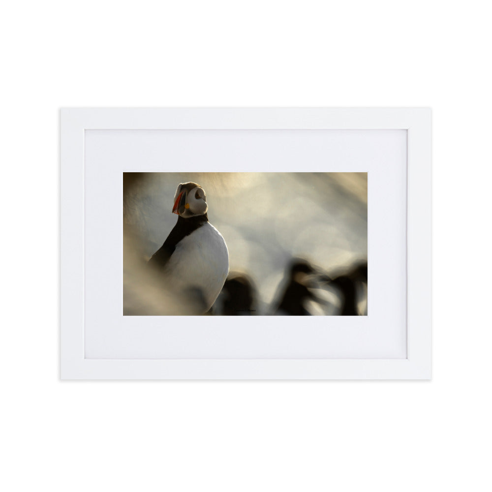 Photographie 'The Puffin's Game' de Laurent Echenoz, capturant un moment intime avec un Macareux moine, présentée dans un cadre élégant.