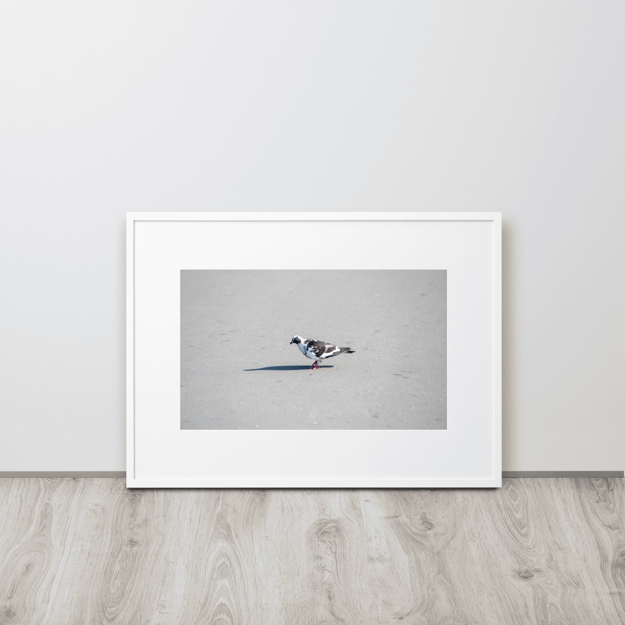 Poster encadré 'Pigeon Dalmatien' capturant un moment unique d'un pigeon noir et blanc se baladant dans son environnement urbain.