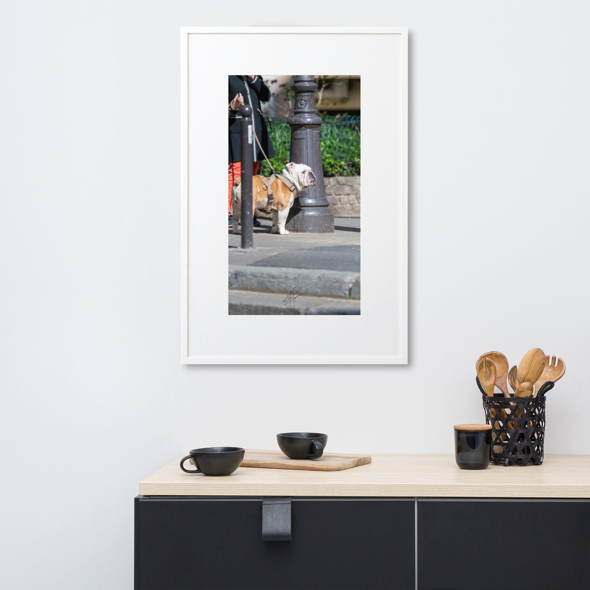 Photographie d'un Bulldog Anglais en promenade avec sa propriétaire, évoquant une scène chaleureuse et un lien profond entre l'homme et le chien.