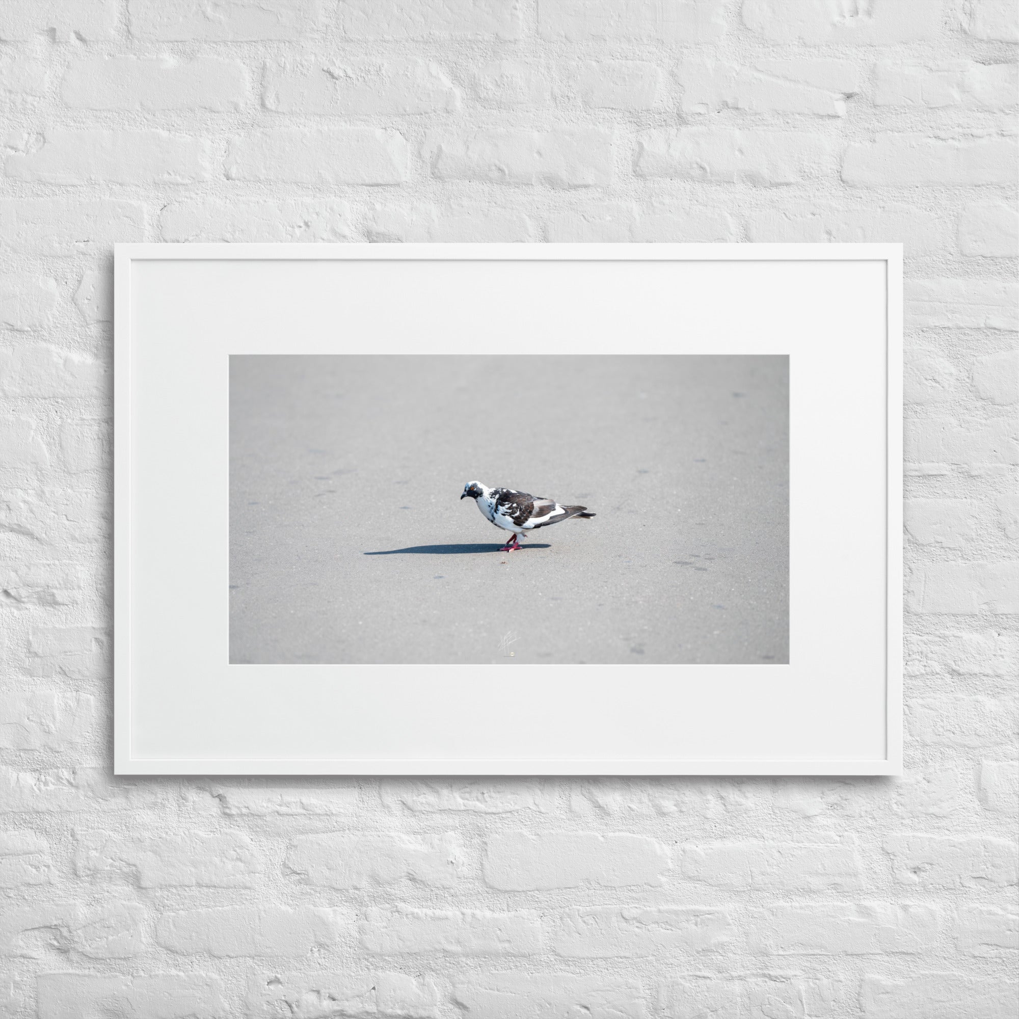 Poster encadré 'Pigeon Dalmatien' capturant un moment unique d'un pigeon noir et blanc se baladant dans son environnement urbain.