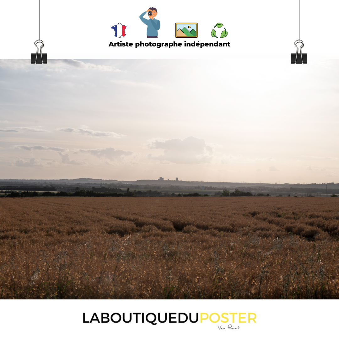 Poster mural - Campagne N01 – Photographie paysage – Poster photo, poster XXL, Photo d’art, photographie murale et des posters muraux des photographies de rue unique au monde. La boutique de posters créée par un Photographe français.