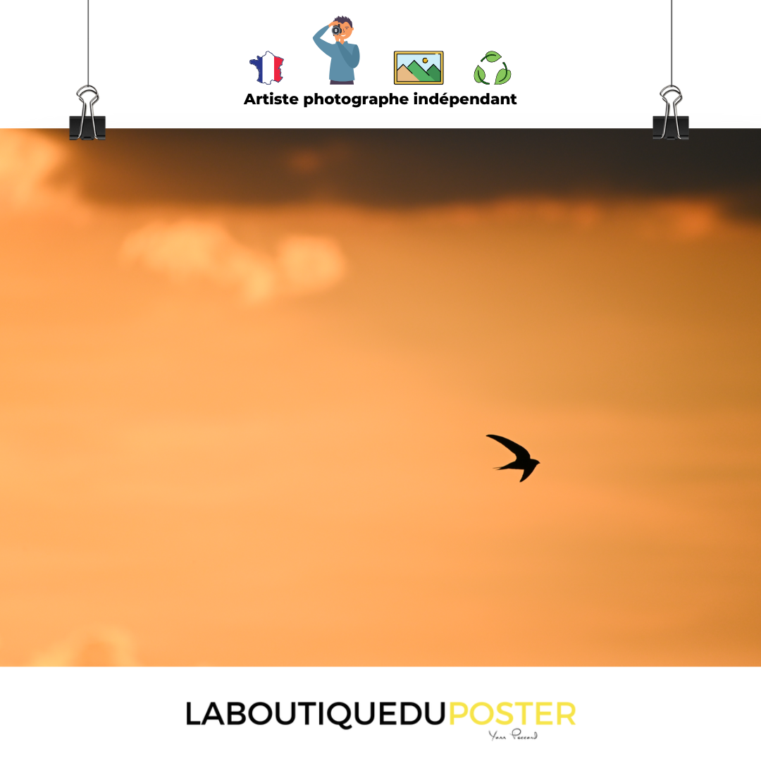 Poster mural - Coucher de soleil N08 – Photographie coucher de soleil – Poster photo, poster XXL, Photo d’art, photographie murale et des posters muraux des photographies de rue unique au monde. La boutique de posters créée par un Photographe français.