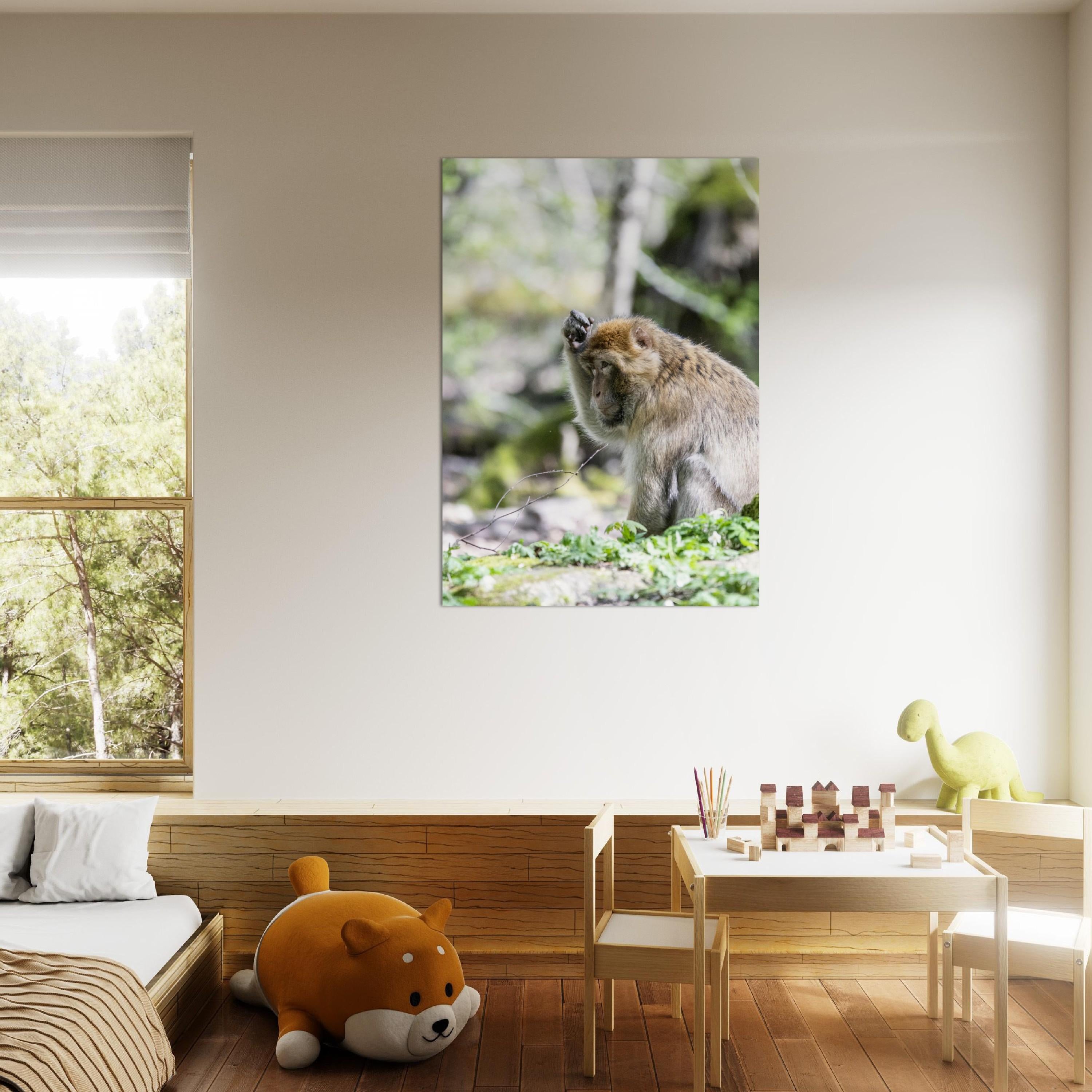 Poster - Macaque de barbarie N02 – Animal sauvage – Décoration murale pas cher à partir de 24,99€ , Poster photo, poster XXL, Photo d’art, photographie murale, Posters muraux unique au monde. La boutique de posters créée par un Photographe français.