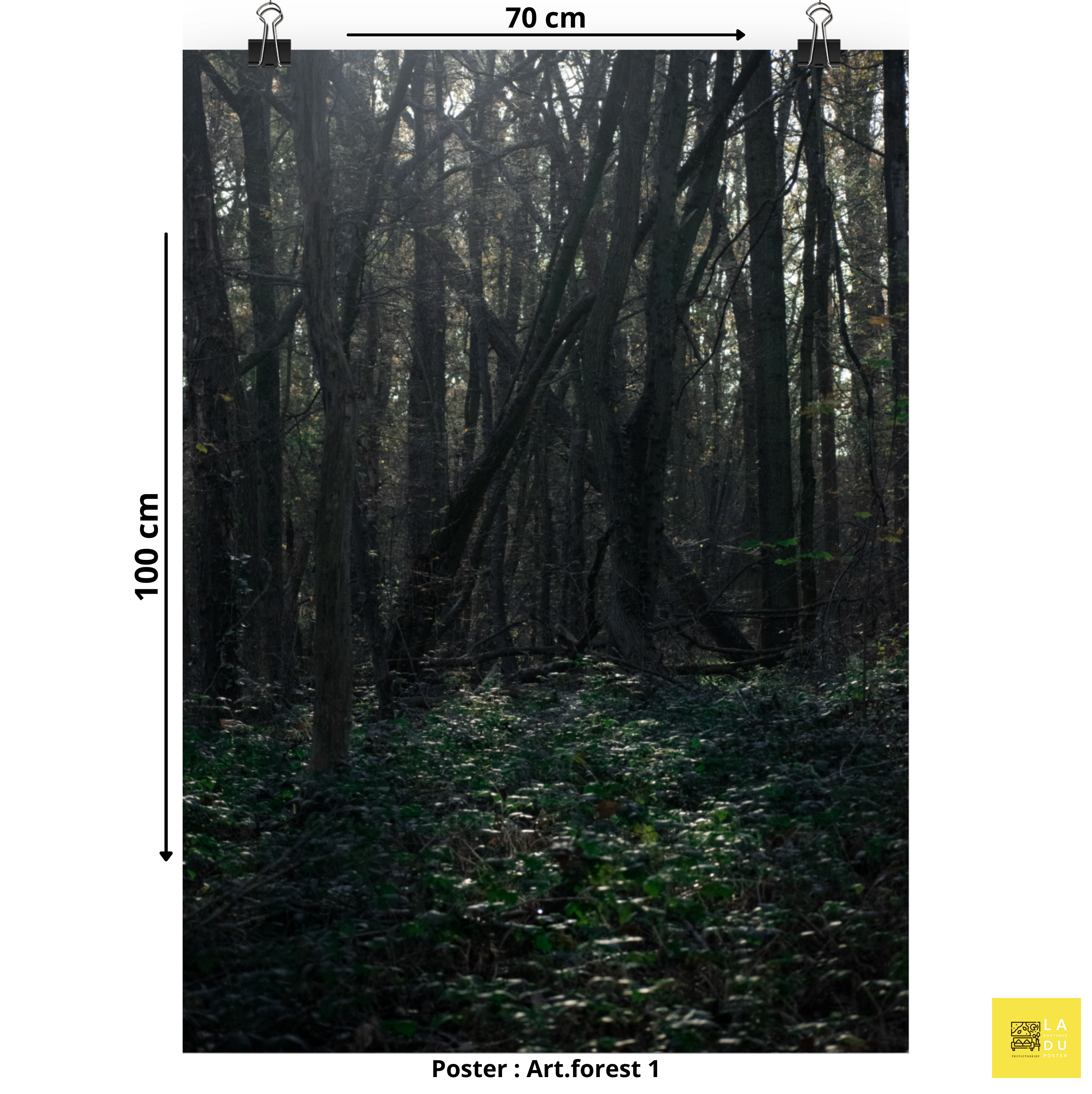 Poster mural - Art.forest N01 – Photographie d'art en fôret – Poster photo, poster XXL, Photo d’art, photographie murale et des posters muraux e des photographies de rue unique au monde. La boutique de posters créée par un Photographe français.