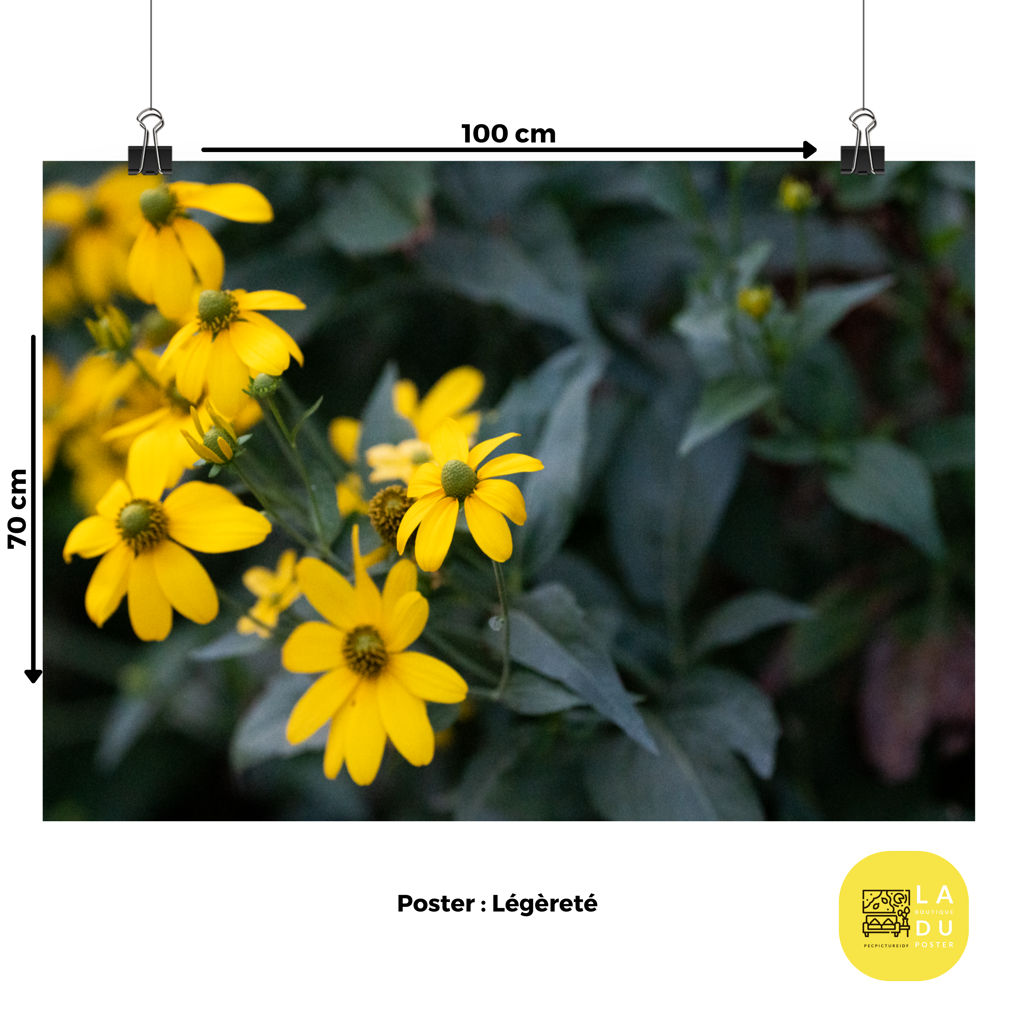 Poster mural - Les pouvoirs des fleurs – Photographie nature – Poster photo, poster XXL, Photo d’art, photographie murale et des posters muraux des photographies de rue unique au monde. La boutique de posters créée par un Photographe français.