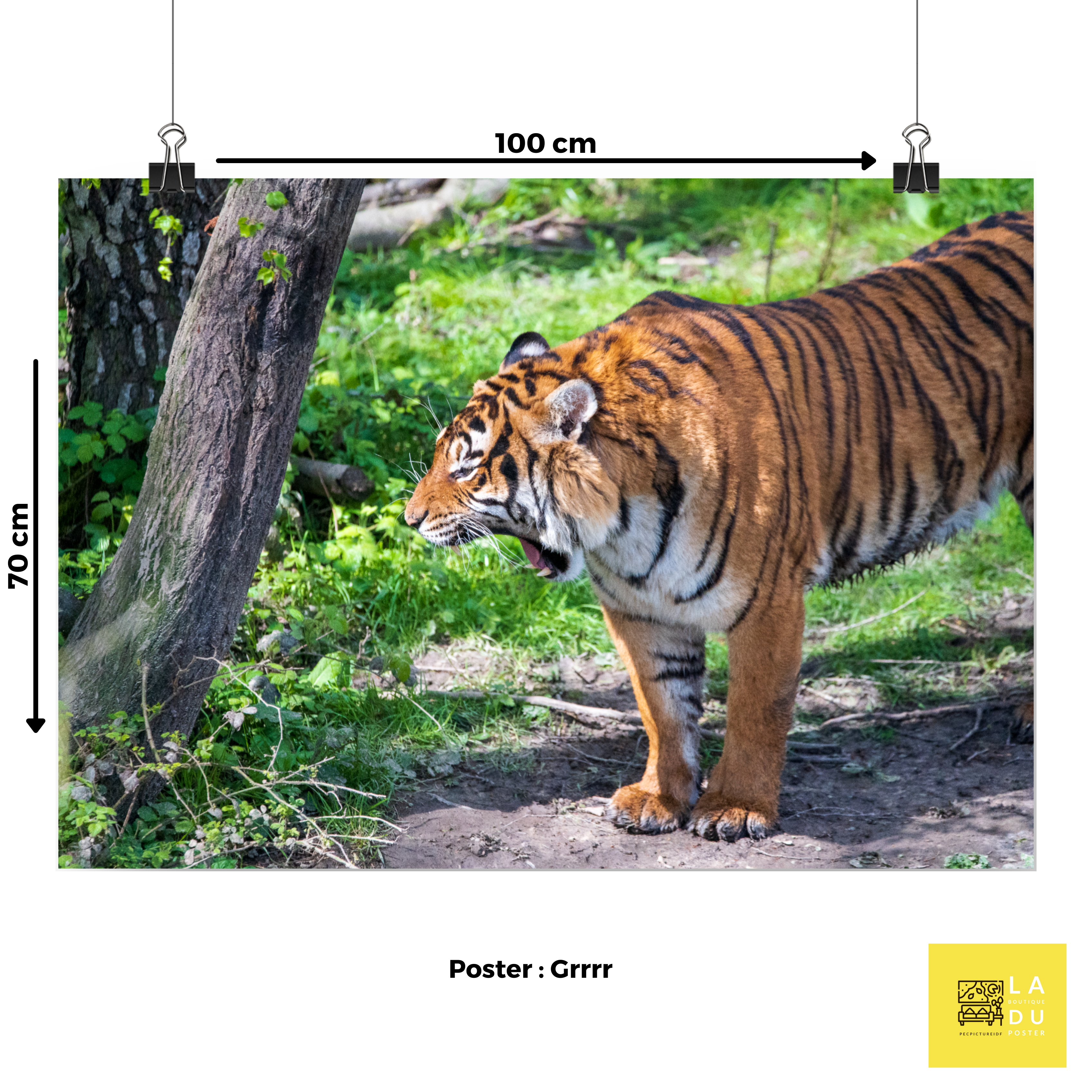 Poster mural - Tigre de Malaisie – Photographie d'animal – Poster photo, poster XXL, Photo d’art, photographie murale et des posters muraux des photographies de rue unique au monde. La boutique de posters créée par un Photographe français.