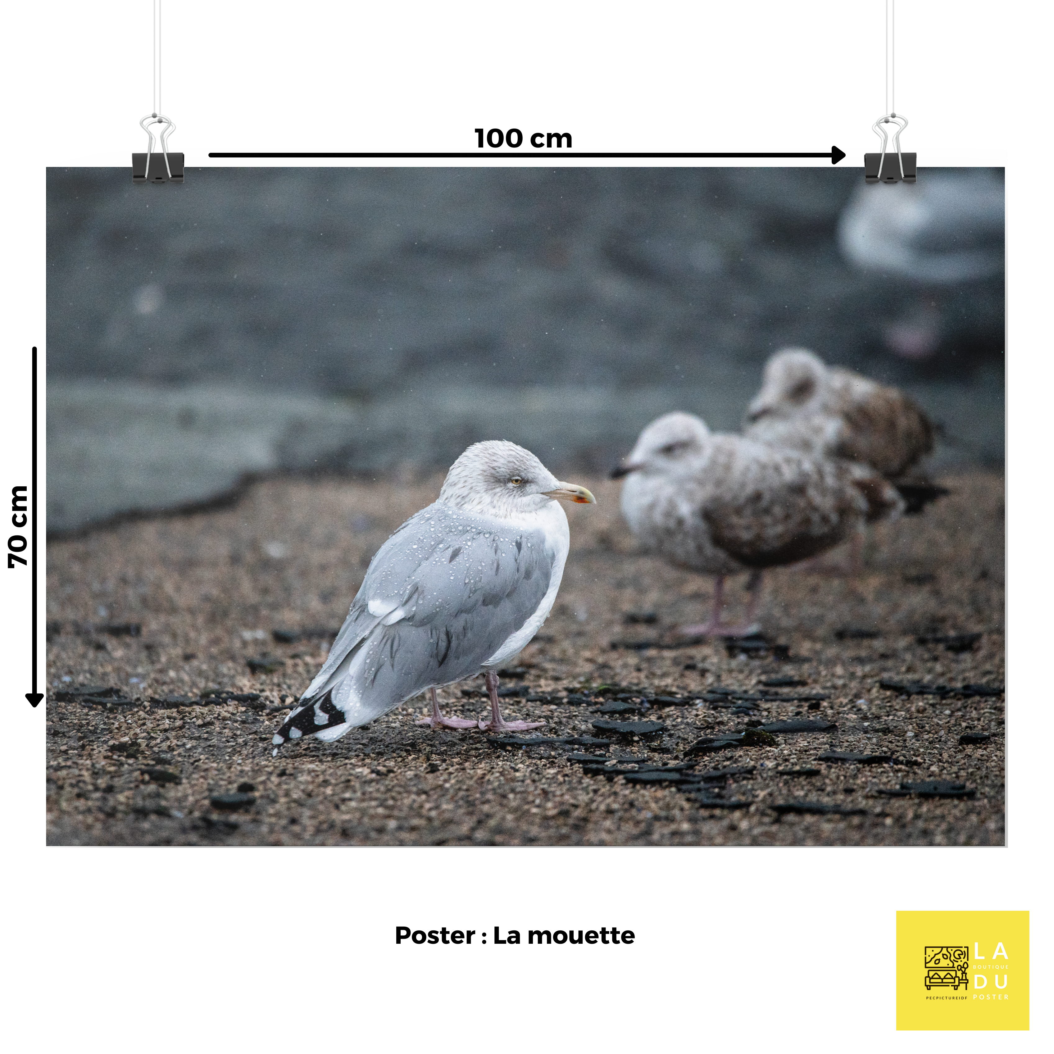 La mouette - Poster - La boutique du poster Français