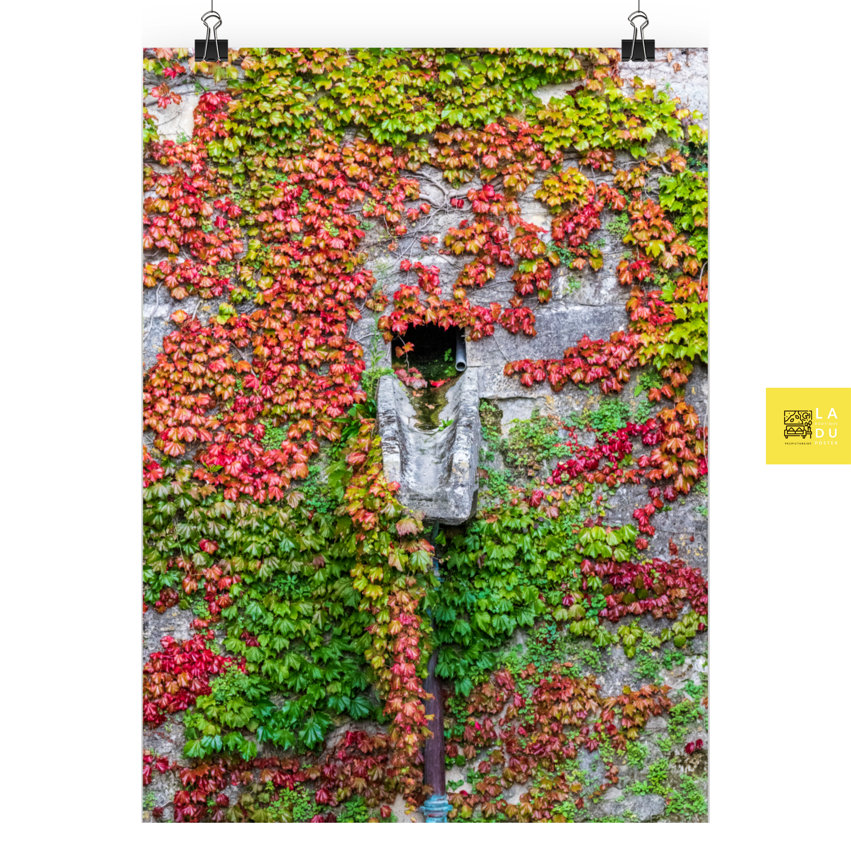 Poster mural - Un mur tout en couleurs – Photographie nature – Poster photo, poster XXL, photographie murale et des posters muraux unique au monde. La boutique de posters créée par Yann Peccard un Photographe français.