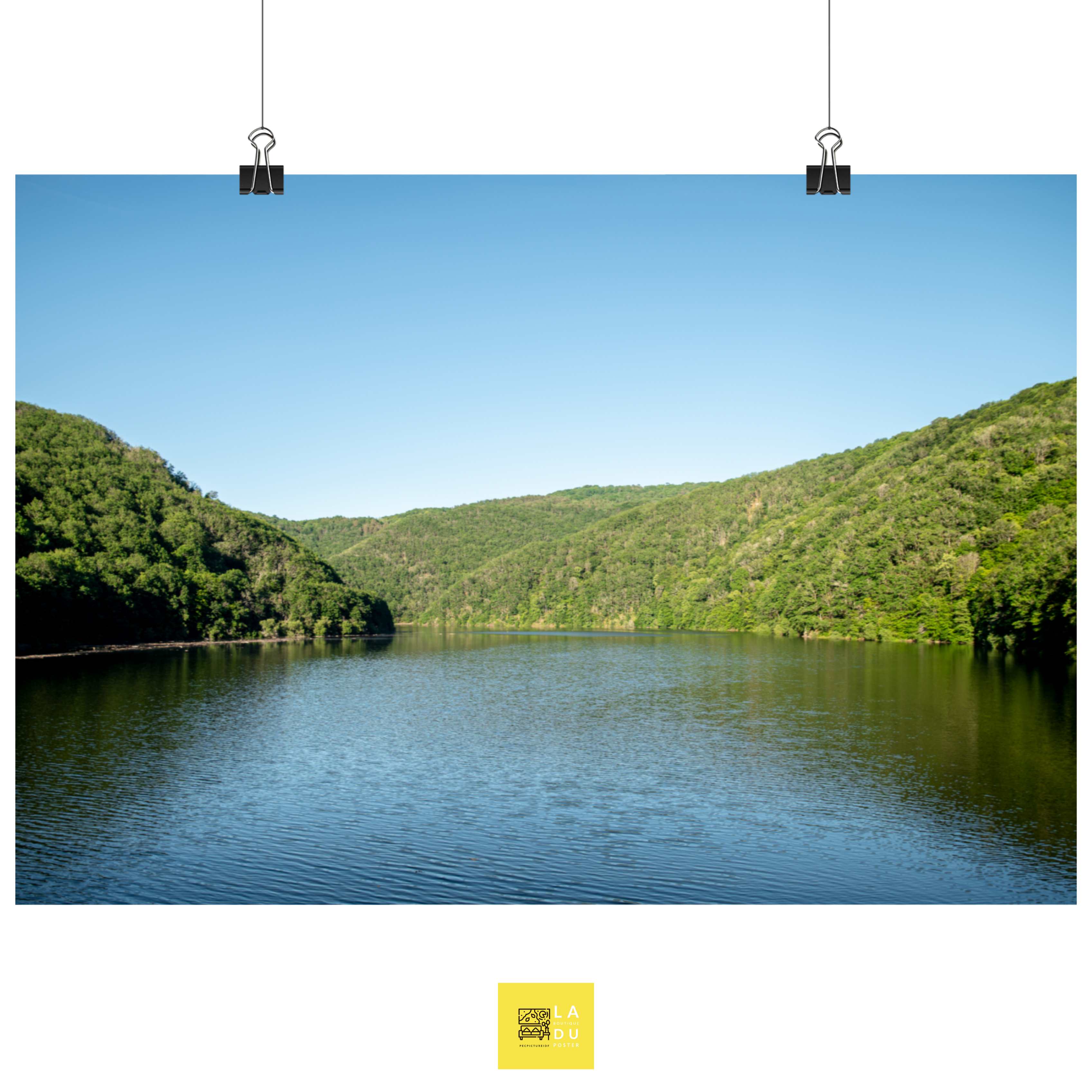 Poster Forêt - Paysage - Water - Arbres - Soleil - Vert - Nature