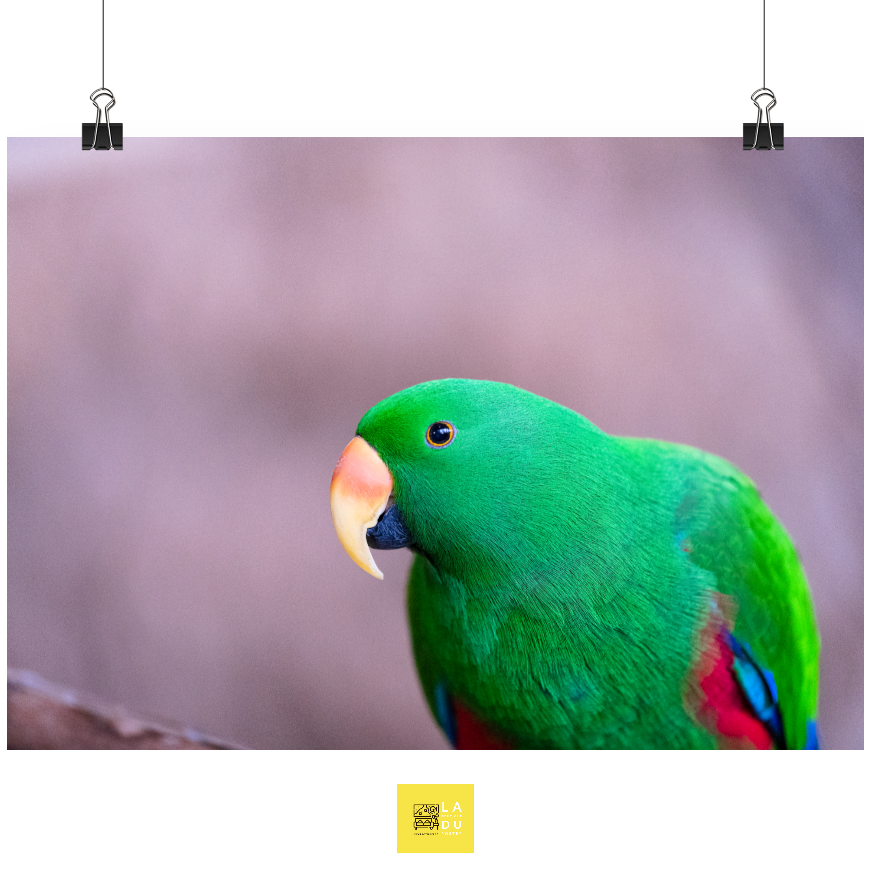 Grand Eclectus N03 - Poster - La boutique du poster Français