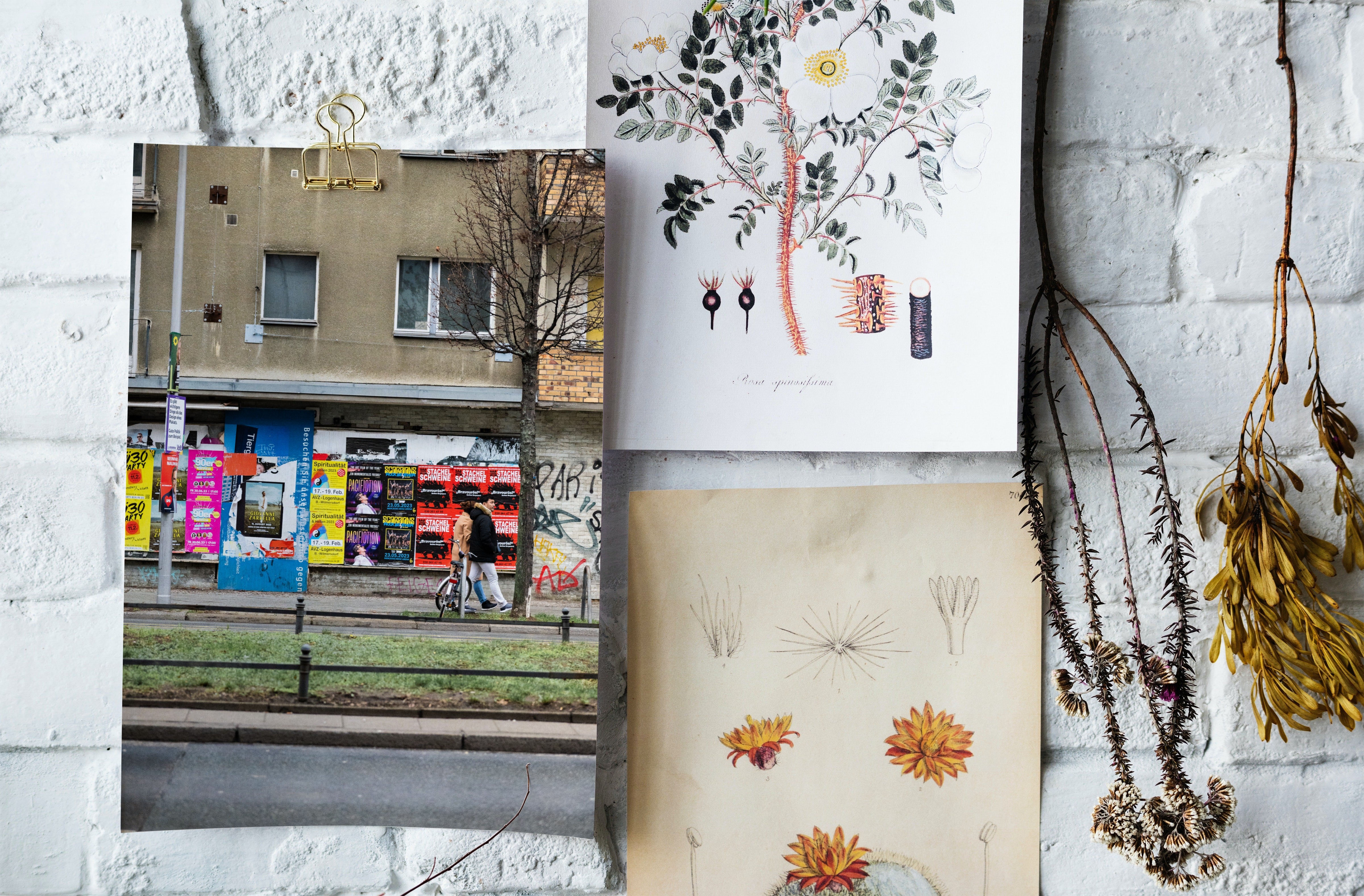 Poster mural - Pacifiction – Photographie de rue à Berlin – Poster photo, poster XXL, photographie murale et des posters muraux unique au monde. La boutique de posters créée par Yann Peccard un Photographe français.