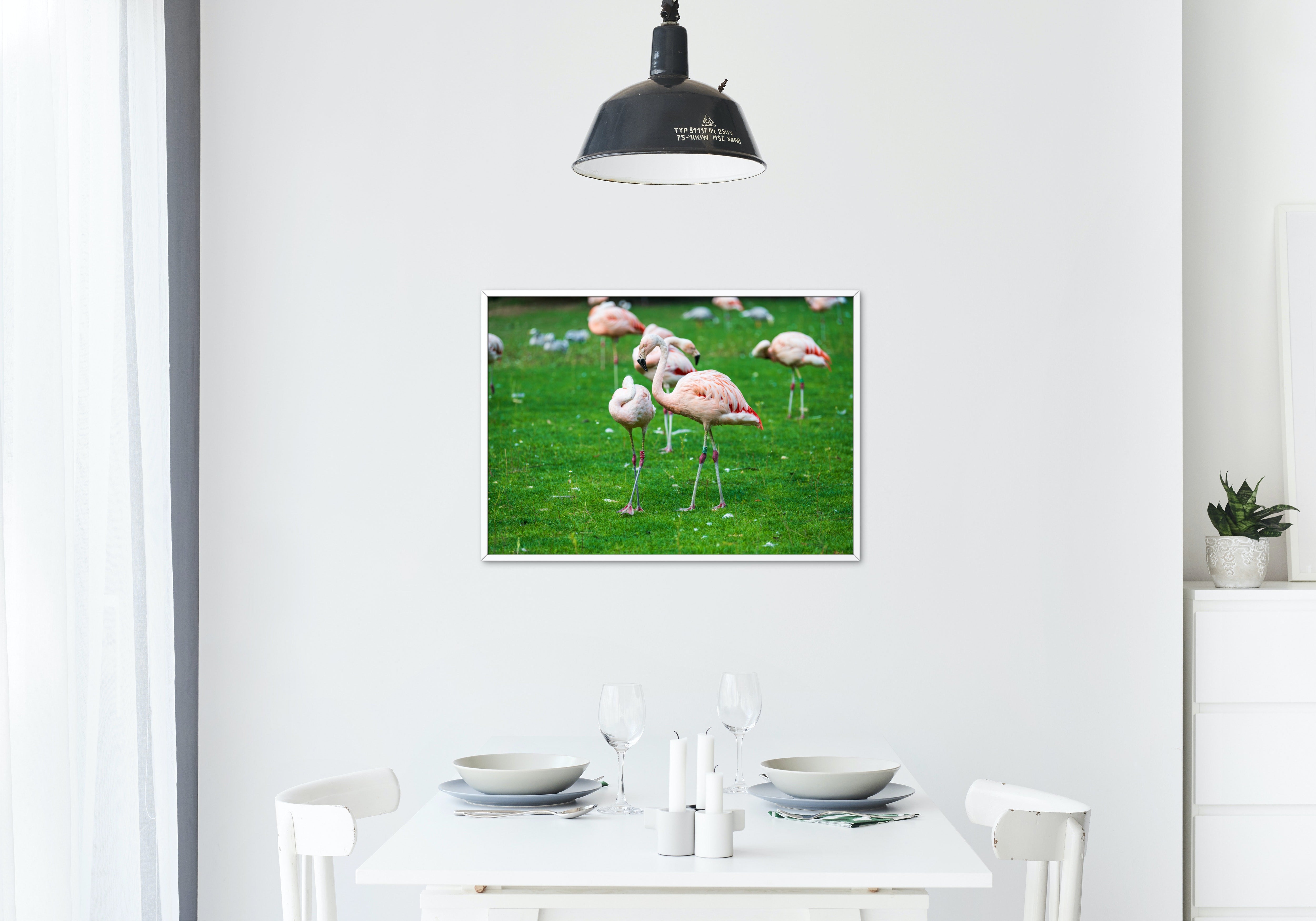 Poster mural - Flamant rose N01 – Photographie d'animaux – Poster photo, poster XXL, Photo d’art, photographie murale et des posters muraux des photographies de rue unique au monde. La boutique de posters créée par un Photographe français.